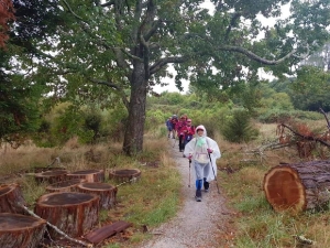 Image of taraweramar19am.jpg