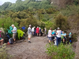 Image of taraweramar19ax.jpg