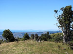 Image of taupo12d.jpg