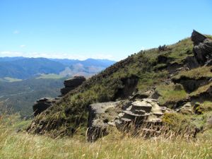 Image of taupo12g.jpg