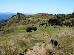 Image of taupo12h.jpg