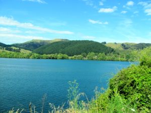 Image of taupo12n.jpg