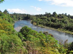 Image of taupo12q.jpg