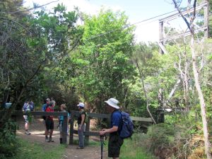 Image of taupo12u.jpg