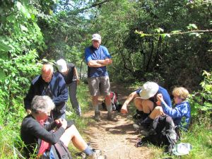 Image of taupo12v.jpg