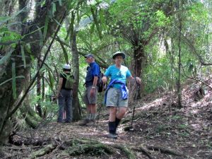 Image of taupo12zb.jpg