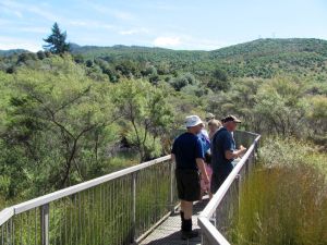 Image of taupo12zh.jpg