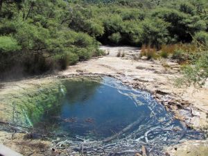 Image of taupo12zi.jpg