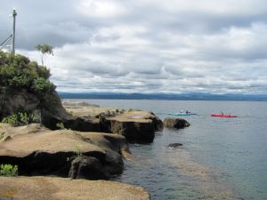 Image of taupo12zn.jpg