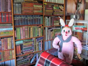 Image of taupo12zs.jpg