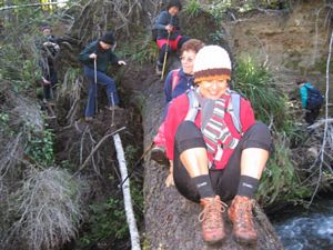 Image of taupojul06a.jpg