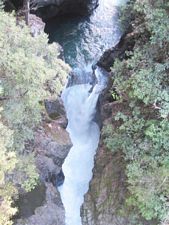 Image of taupojul06d.jpg