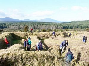 Image of taupojul06h.jpg