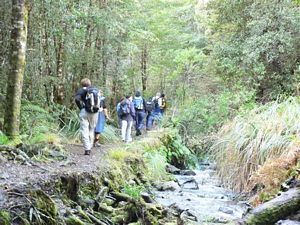 Image of taupojul06k.jpg