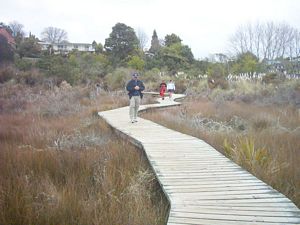Image of tauranga04estuaryboardwalk.jpg