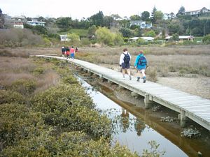 Image of tauranga04estuaryboardwalkreflection.jpg