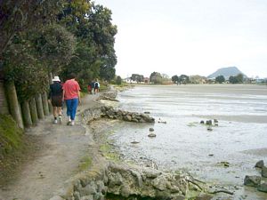 Image of tauranga04estuarythemount2.jpg