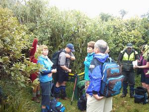 Image of tauranga04kaimaielevenses2.jpg