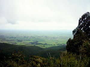 Image of tauranga04kaimainorthsouthwaikato.jpg
