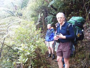 Image of tauranga04kaimaituahu.jpg