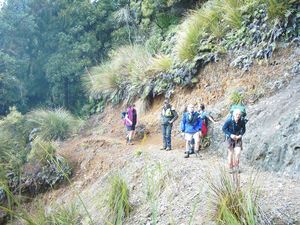 Image of tauranga04kaimaituahulandslip.jpg