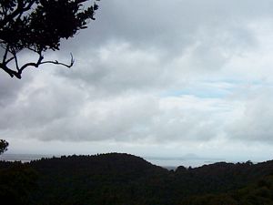 Image of tauranga04kaimaituahulandslipview.jpg