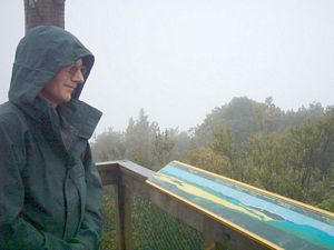 Image of tauranga04otanewainukuview.jpg