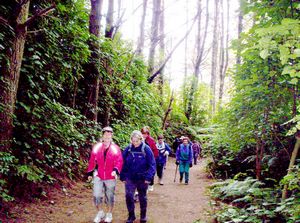 Image of taurangasep06ajpapamoacsettingout.jpg