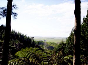 Image of taurangasep06ajpapamoaeviewfromtrack.jpg