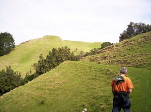 Image of taurangasep06ajpapamoahviewofsummit.jpg