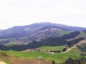 Image of taurangasep06ajpapamoapsummitview2001trig.jpg