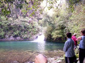 Image of taurangasep06aoraparapahoeifalls.jpg