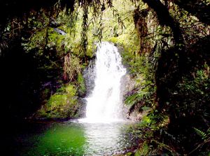Image of taurangasep06aswhataroaffalls.jpg