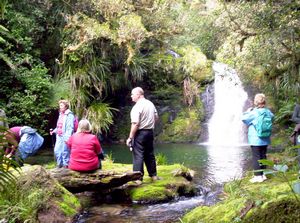 Image of taurangasep06aswhataroahfalls.jpg