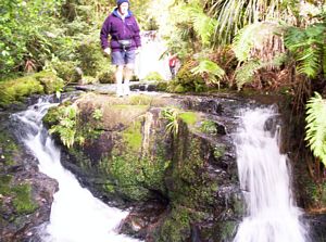 Image of taurangasep06aswhataroaklowerfalls.jpg