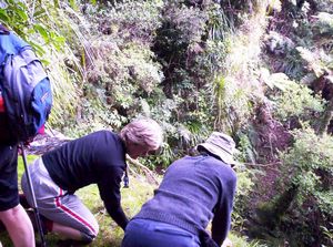 Image of taurangasep06aswhataroalookingdownlowestfall.jpg