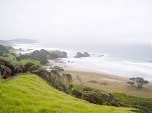 Image of tawharanui05anchorbay2.jpg