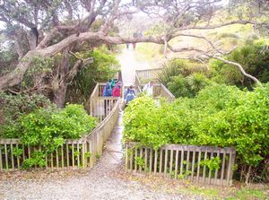 Image of tawharanui05anchorbaybridge.jpg