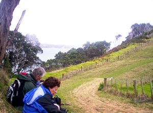 Image of tawharanui05elevenses.jpg