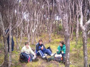 Image of tawharanui05lunch.jpg