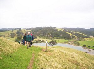 Image of tawharanui05nearstart2.jpg
