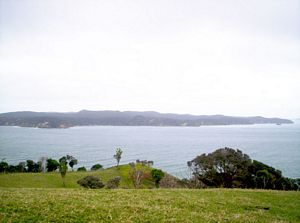 Image of tawharanui05viewkawau.jpg