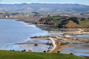 Image of tawharanuiduderjun17e.jpg