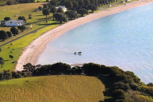 Image of tawharanuiduderjun17h.jpg