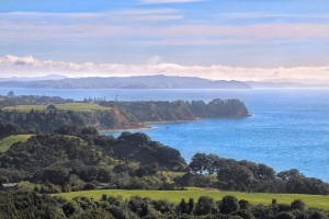 Image of tawharanuiduderjun17j.jpg