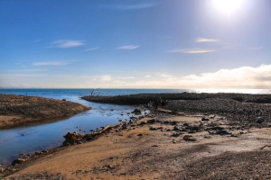 Image of tawharanuiduderjun17l.jpg