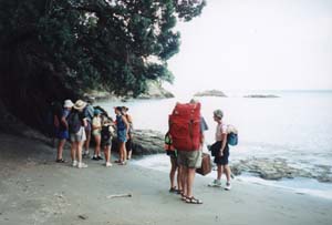 Image of tawhitikino02arrivalatbeachq.jpg