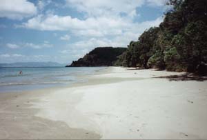 Image of tawhitikino02beachq.jpg