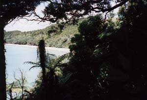 Image of tawhitikino02beachviewq.jpg