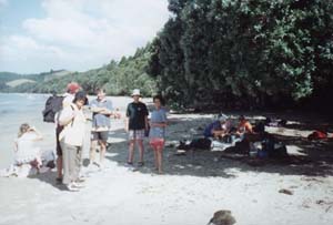 Image of tawhitikino02picnic2q.jpg